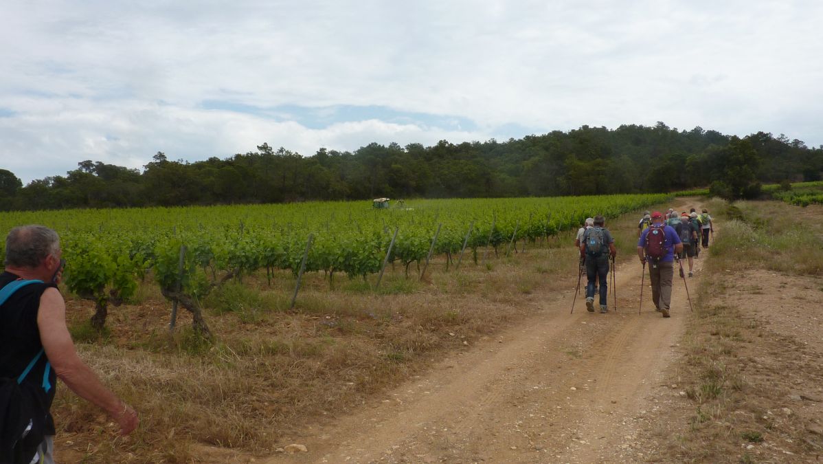 La Londe, le Puits Mouret