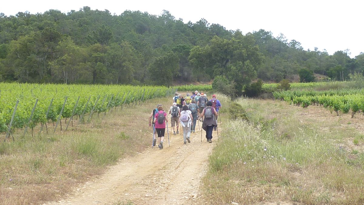 La Londe, le Puits Mouret