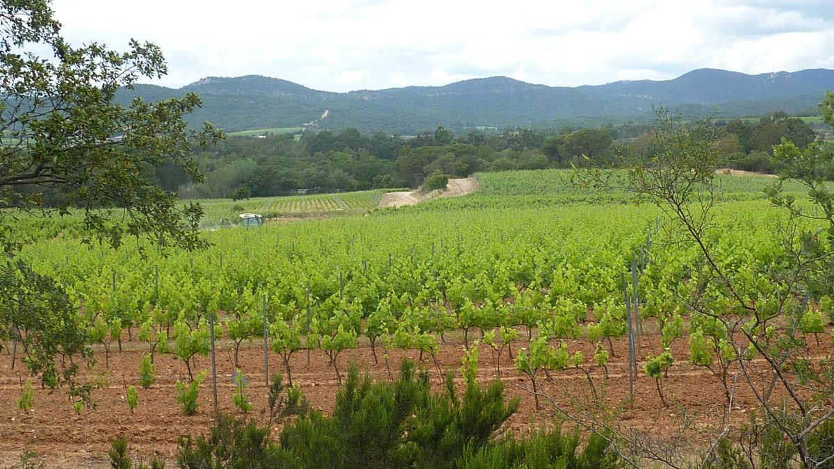 La Londe, le Puits Mouret