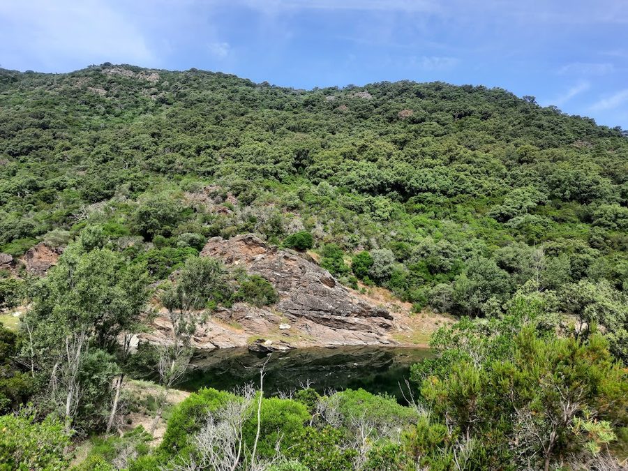 Collobrières, la chartreuse de la Verne