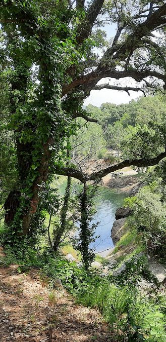 Collobrières, la chartreuse de la Verne