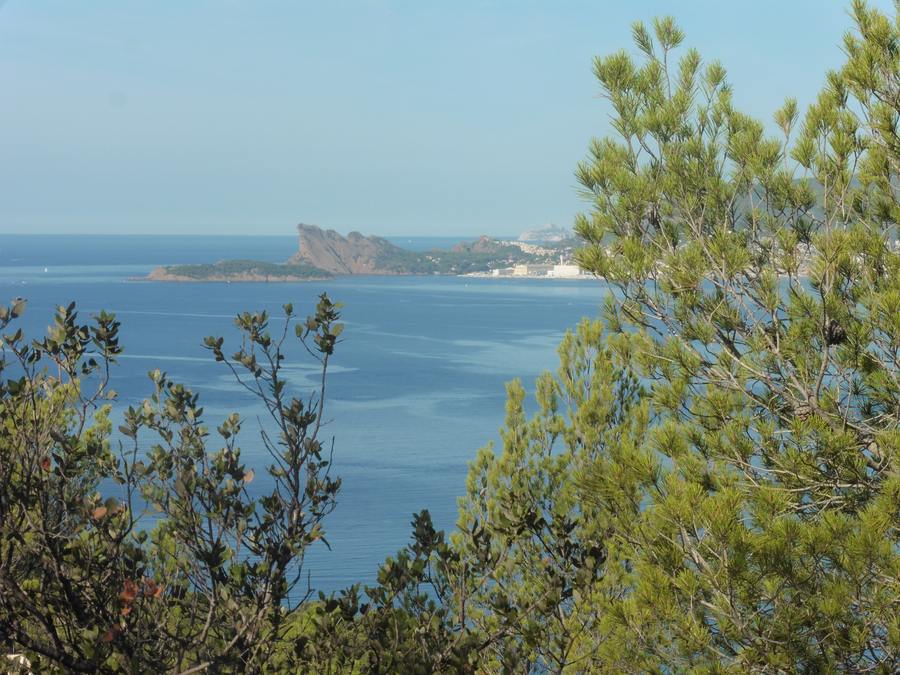 Bandol, Le port d’Alon