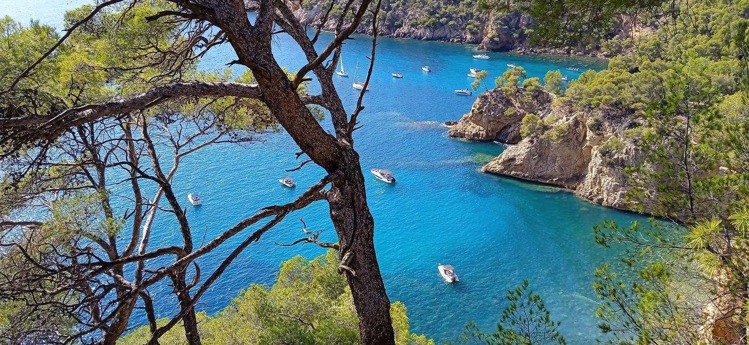 Bandol, Le port d’Alon