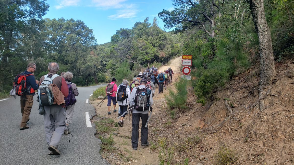 Collobrières, le Treps