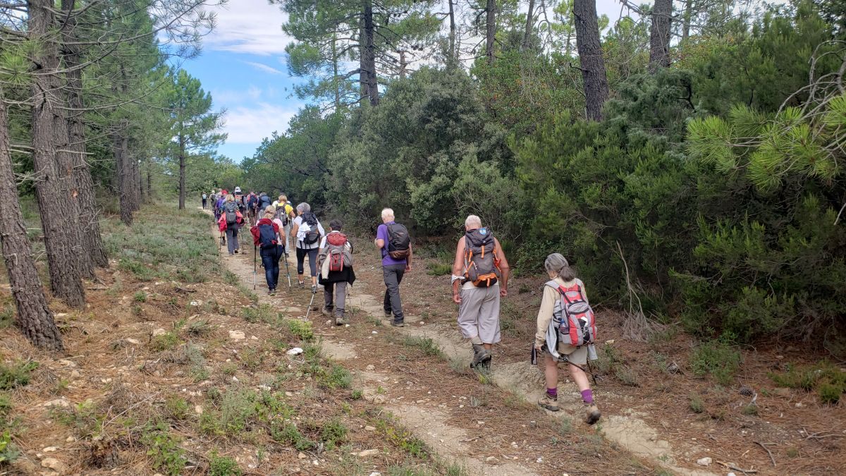 Collobrières, le Treps