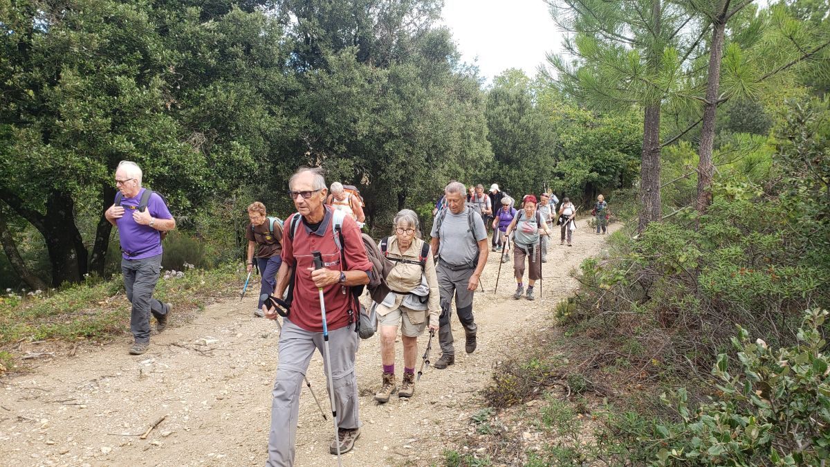 Collobrières, le Treps