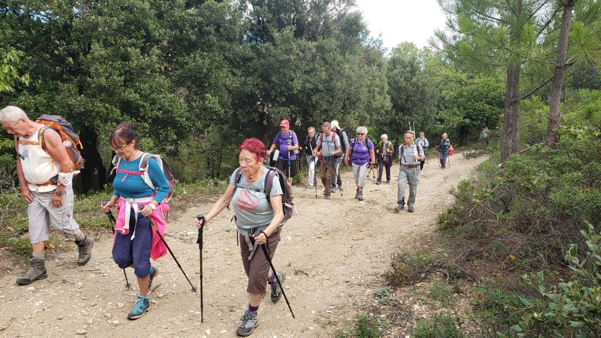 Collobrières, le Treps