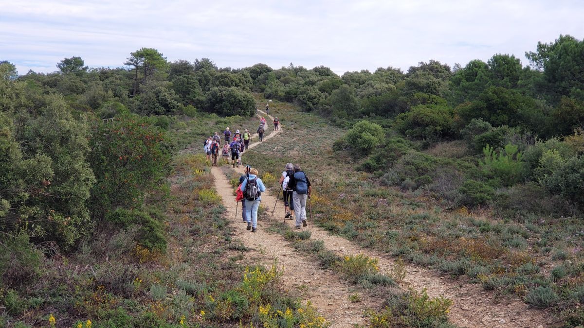Collobrières, le Treps