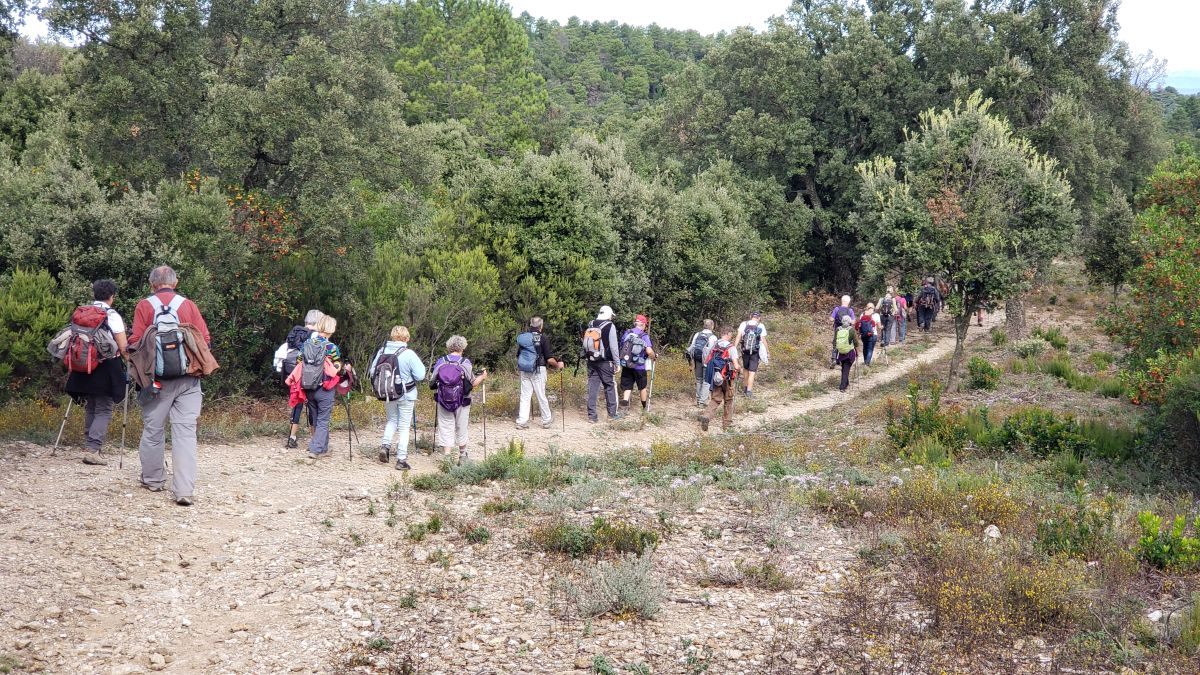 Collobrières, le Treps
