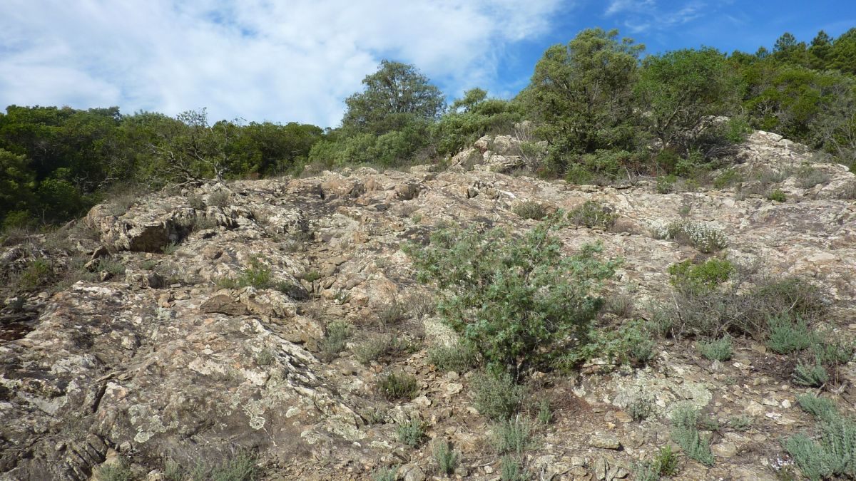 Collobrières, le Treps
