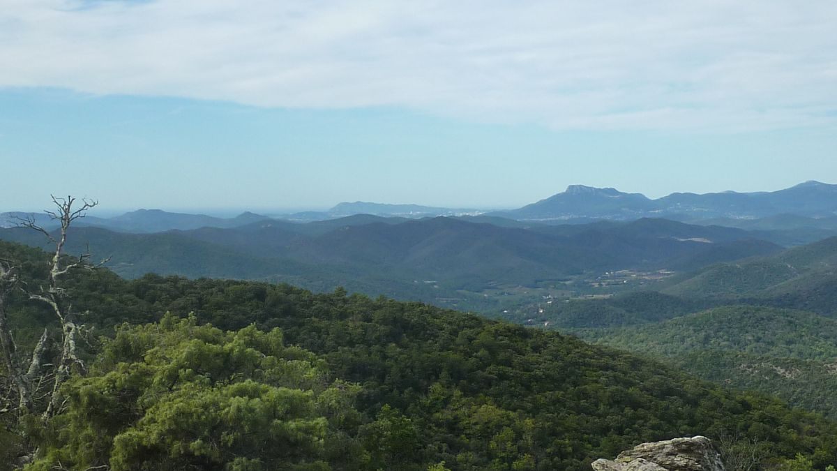 Collobrières, le Treps