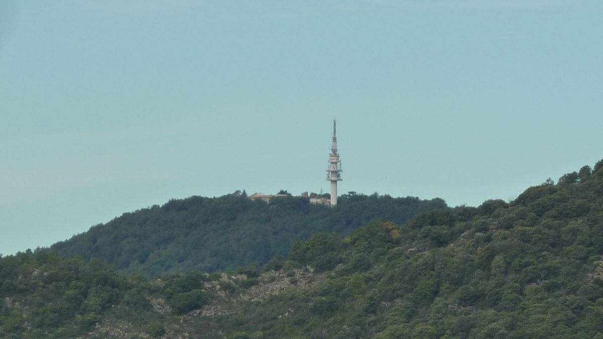 Collobrières, le Treps
