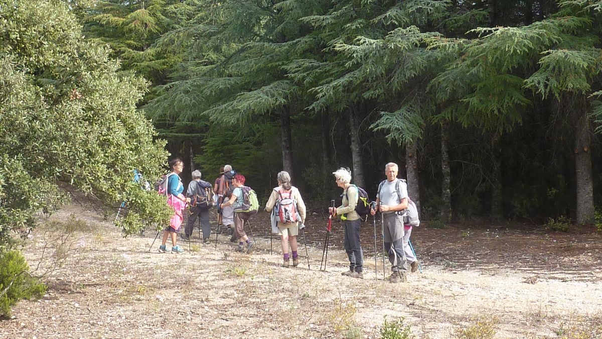 Collobrières, le Treps