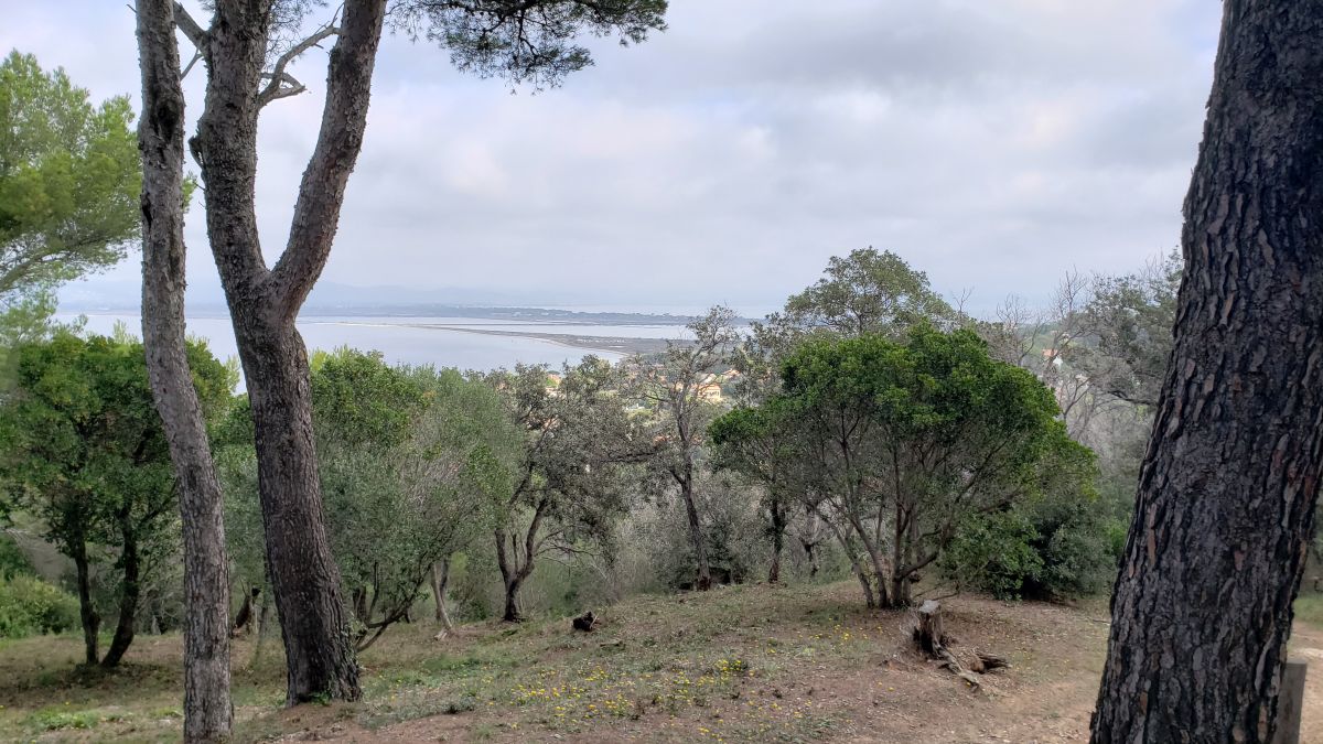 Giens, entre terre et mer 