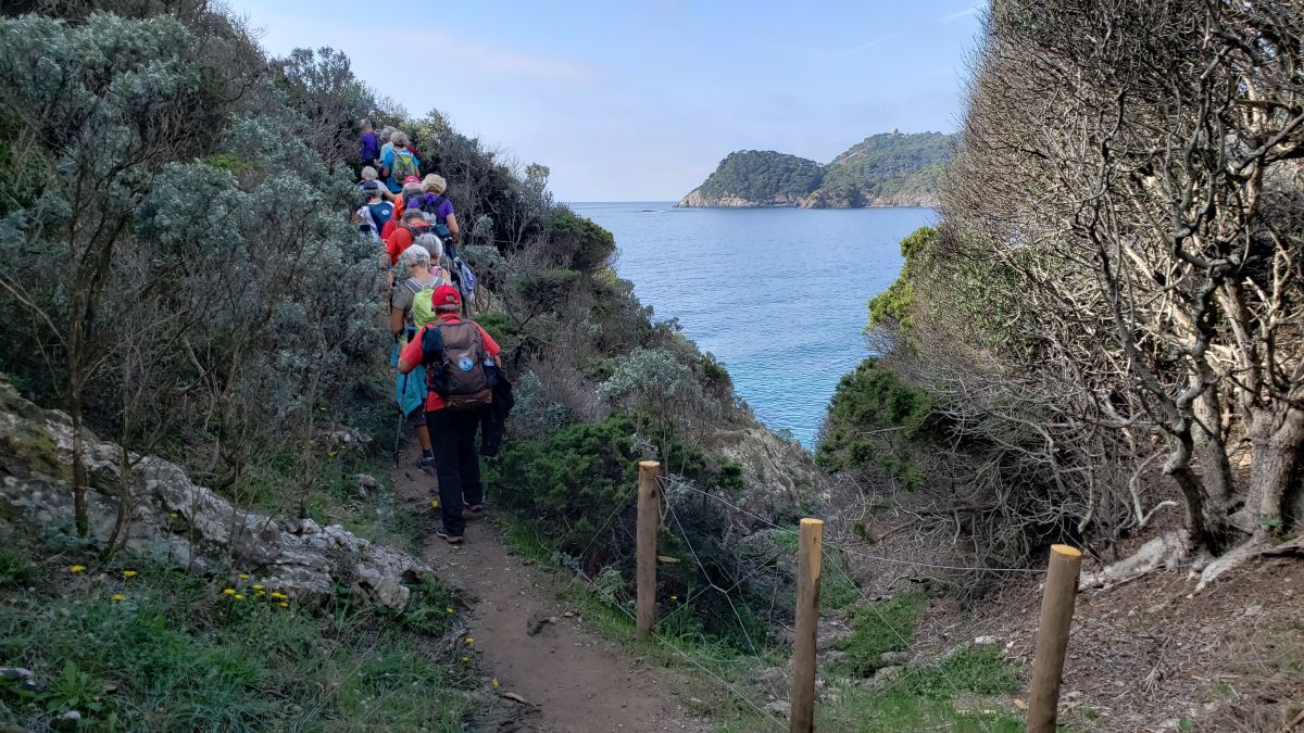 Giens, entre terre et mer 