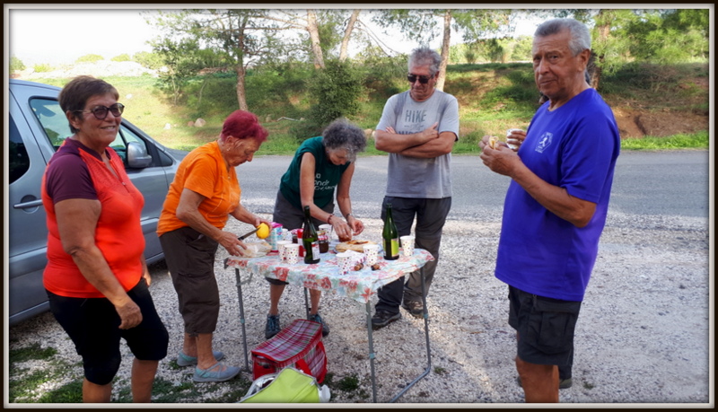 Pierrefeu, baisse des châtaigniers
