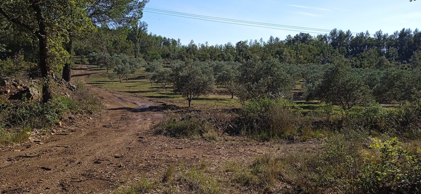 Cabasse, Trou des Fées