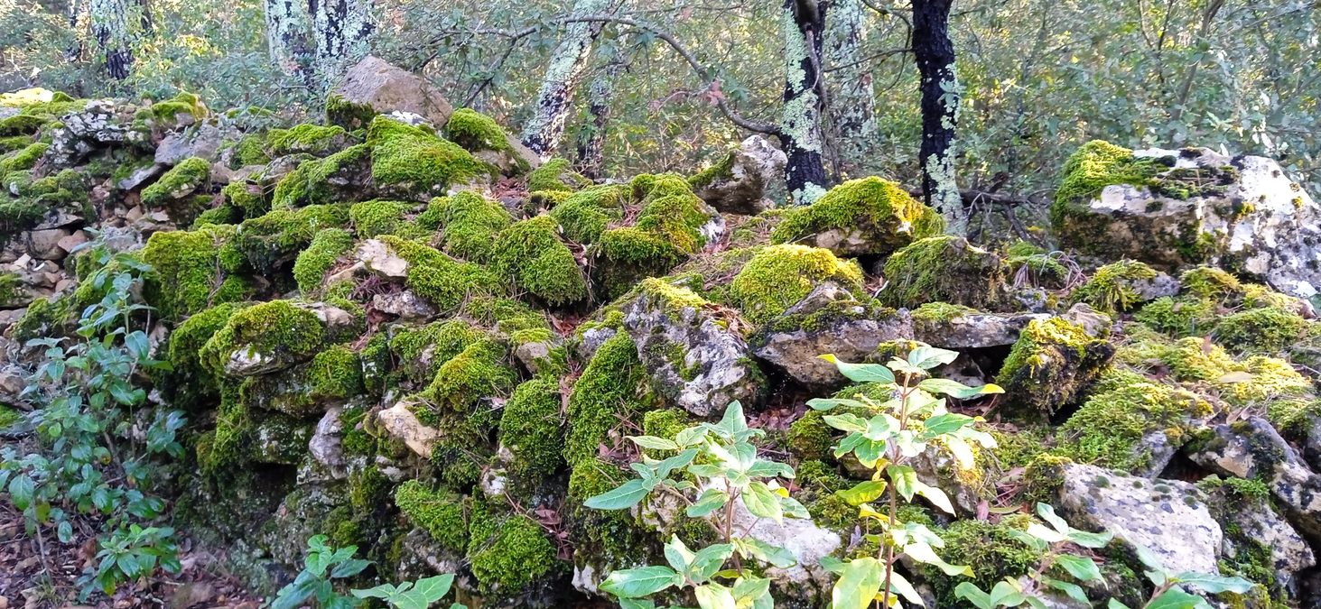 Cabasse, Trou des Fées