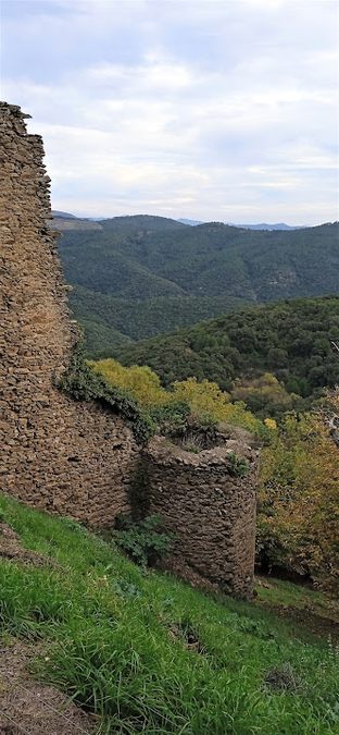 Collobrières, chartreuse de la Verne