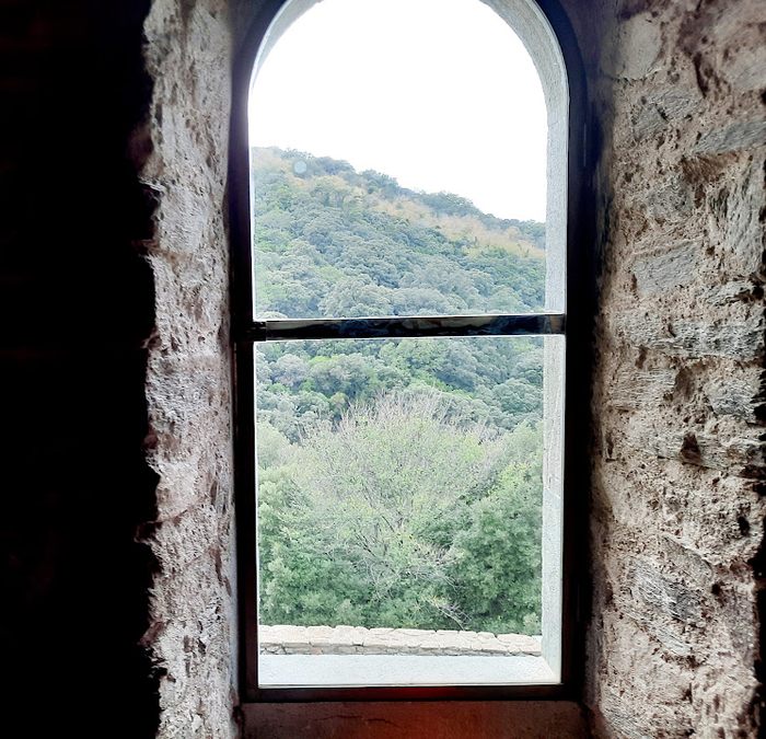 Collobrières, chartreuse de la Verne
