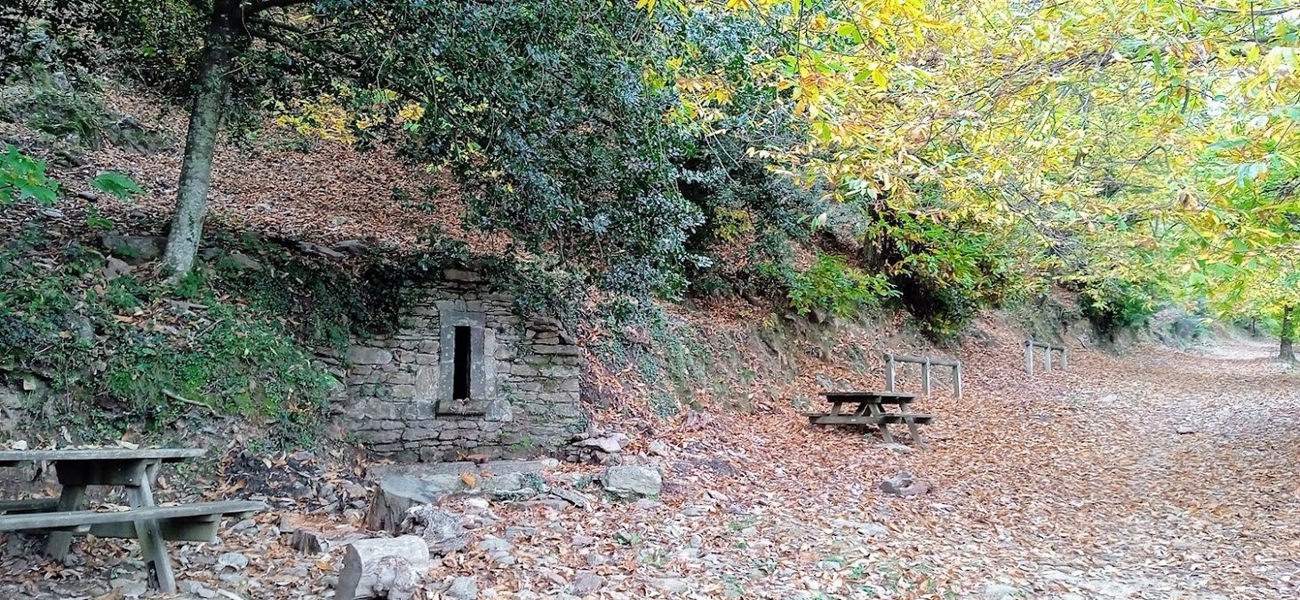 Collobrières, chartreuse de la Verne