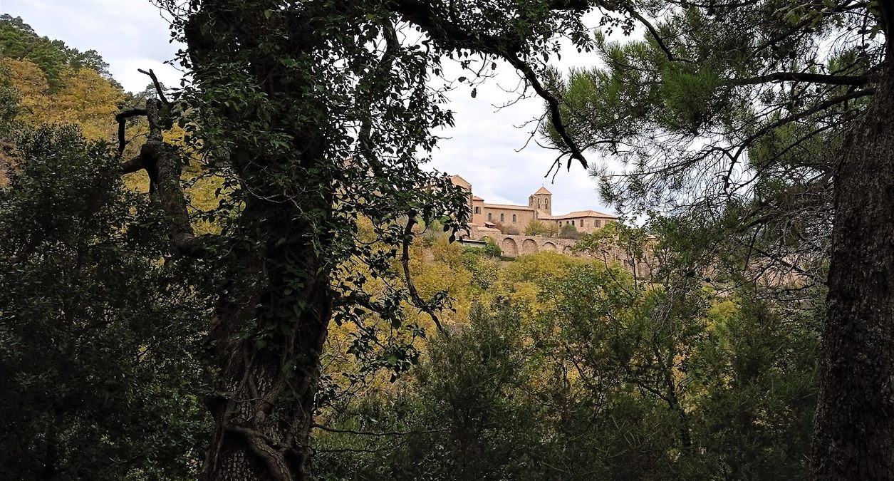 Collobrières, chartreuse de la Verne