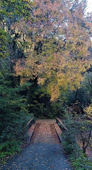 Montrieux, la Font de l'Évoué