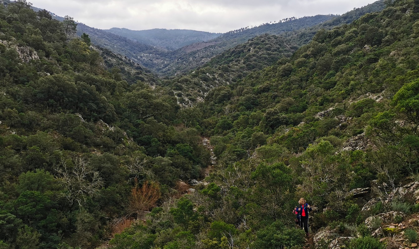 La Garde-Freinet, crêche