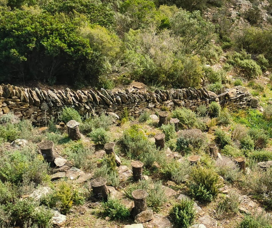 La Garde-Freinet, crêche