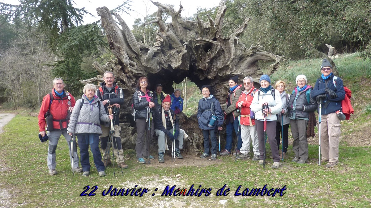 Collobrières, menhirs des Lamberts