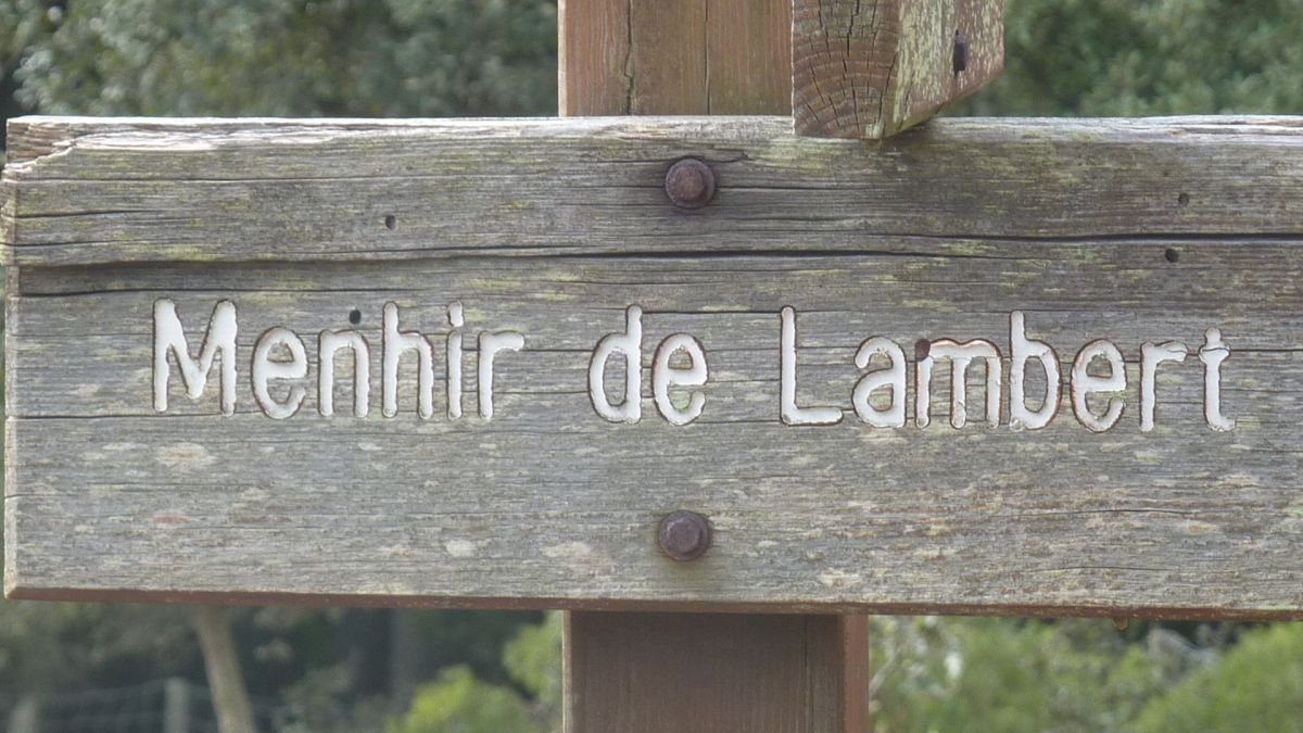 Collobrières, menhirs des Lamberts