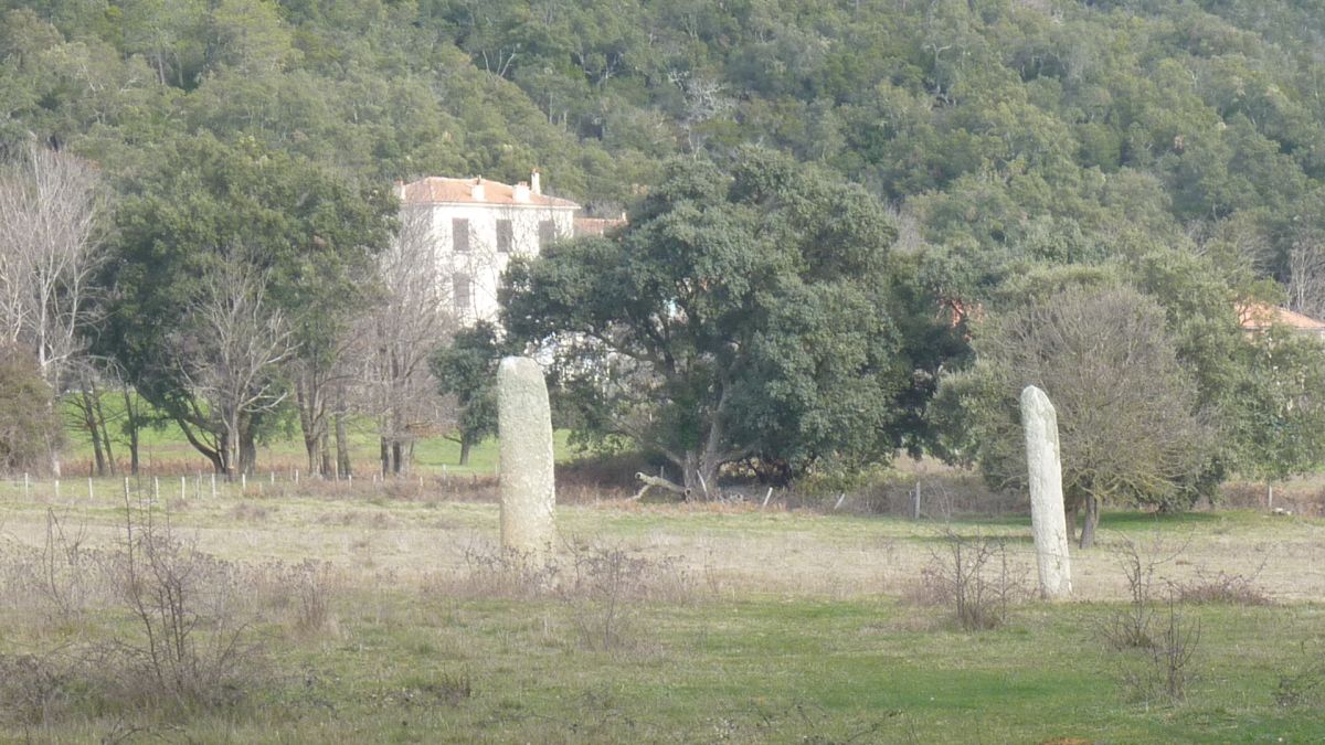Collobrières, menhirs des Lamberts