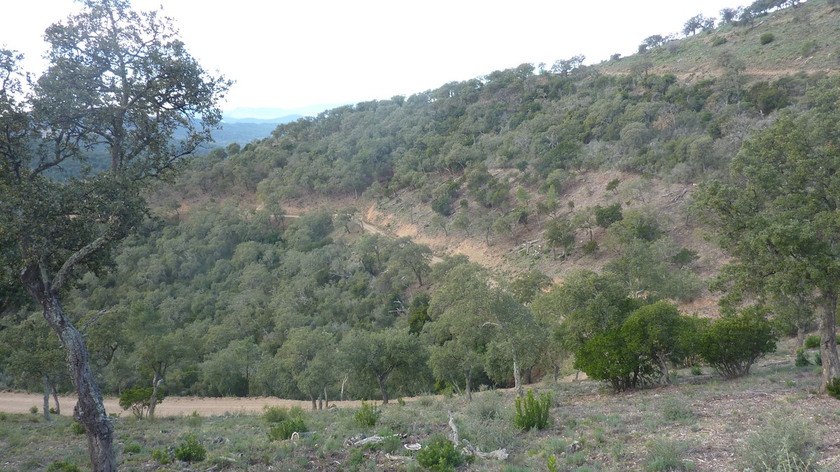 Pierrefeu, crêtes du Peirol