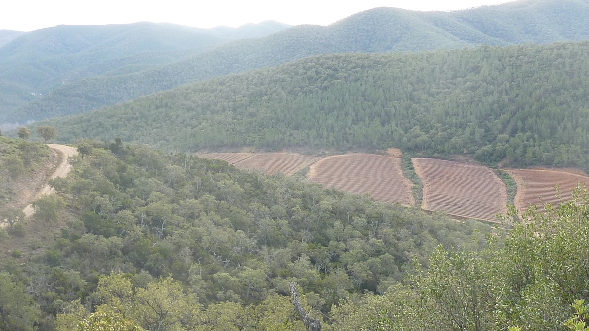 Pierrefeu, crêtes du Peirol