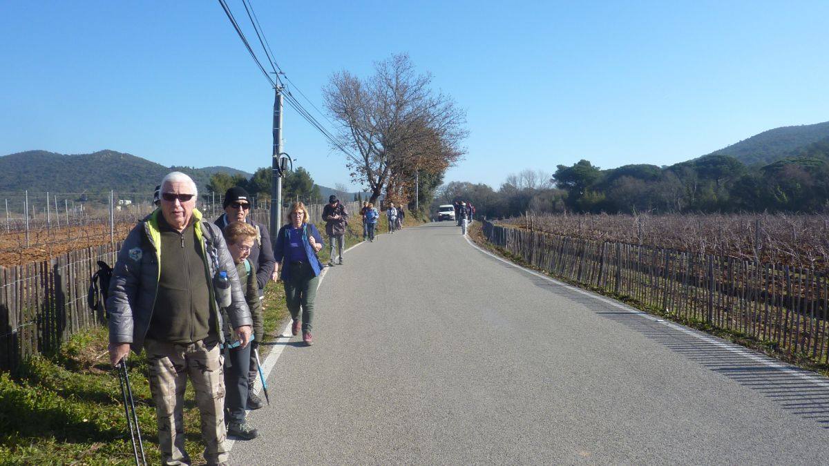 Les Borrels, baisse des Comtes 