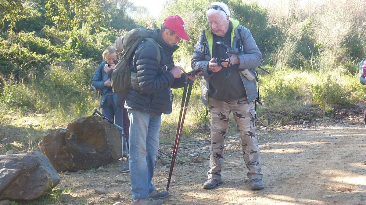 Les Borrels, baisse des Comtes 