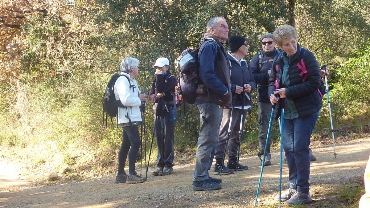 Les Borrels, baisse des Comtes 