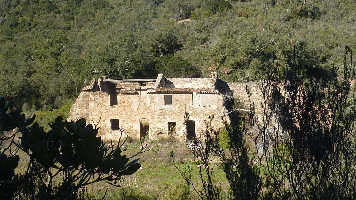Les Borrels, baisse des Comtes 