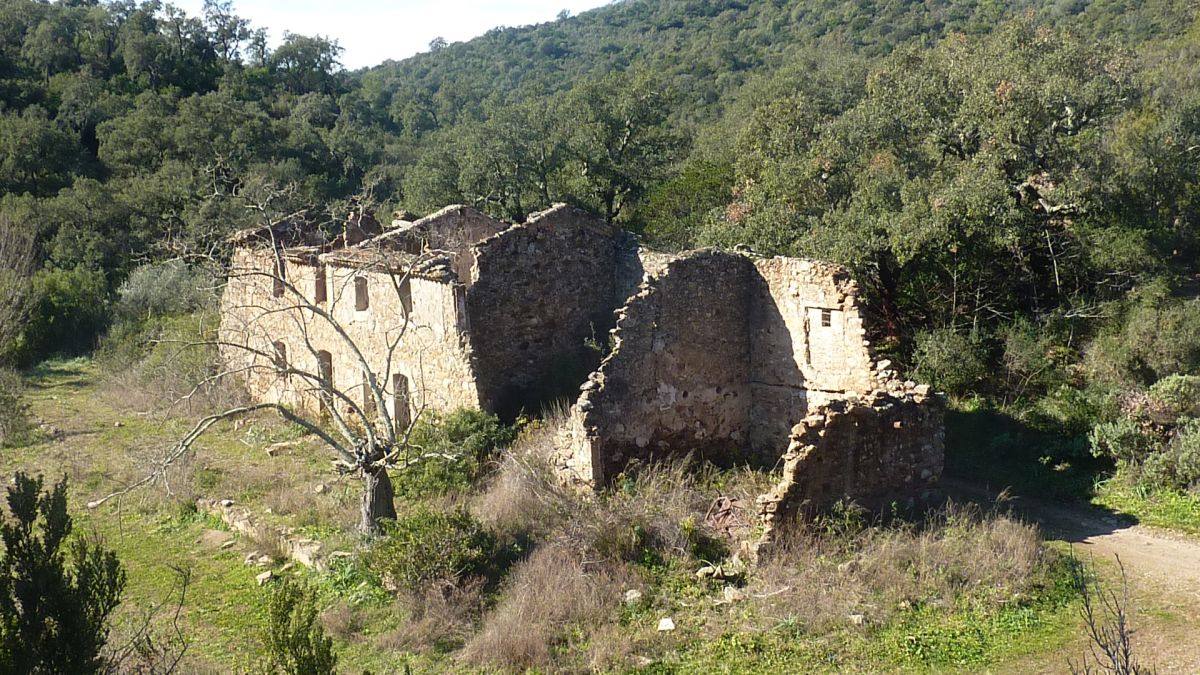 Les Borrels, baisse des Comtes 