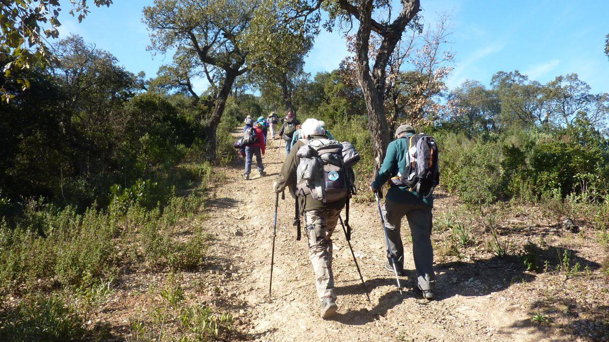 Les Borrels, baisse des Comtes 