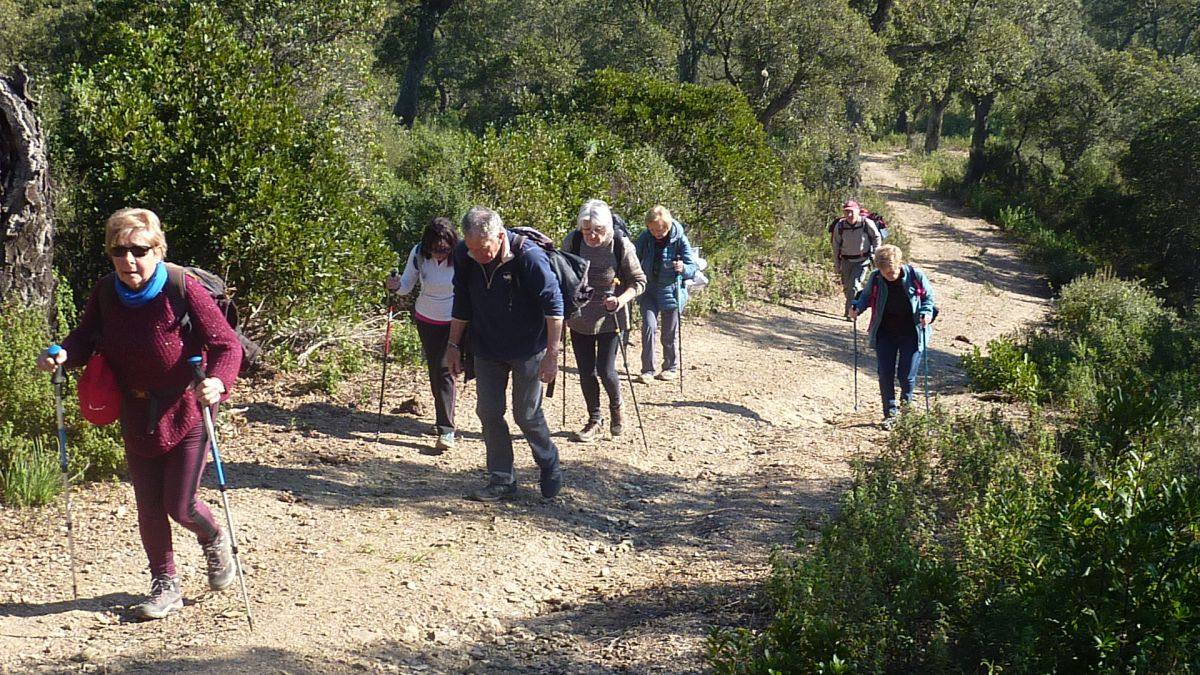 Les Borrels, baisse des Comtes 