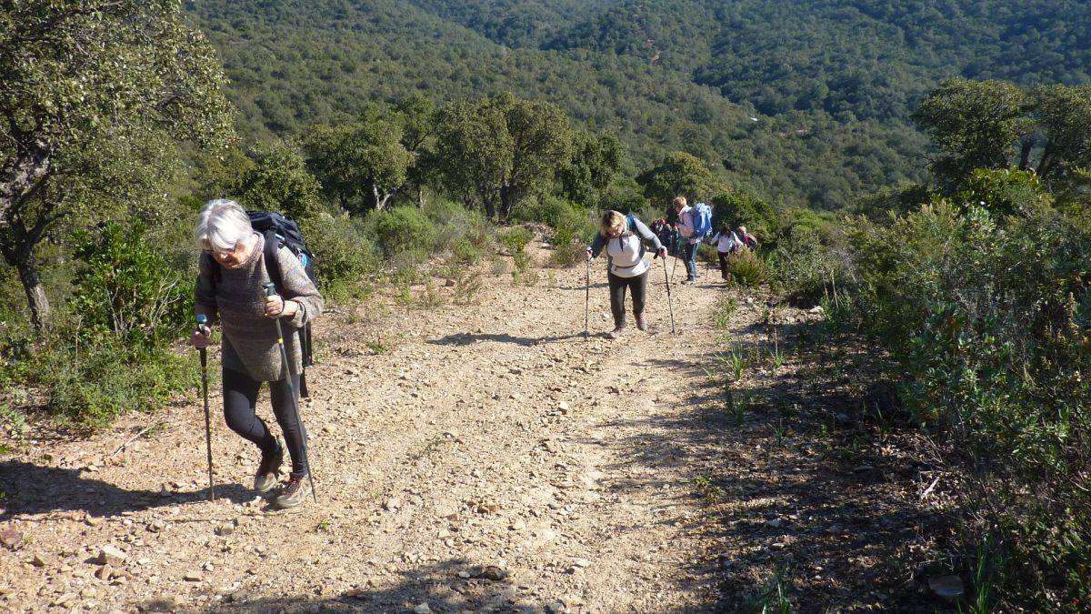 Les Borrels, baisse des Comtes 