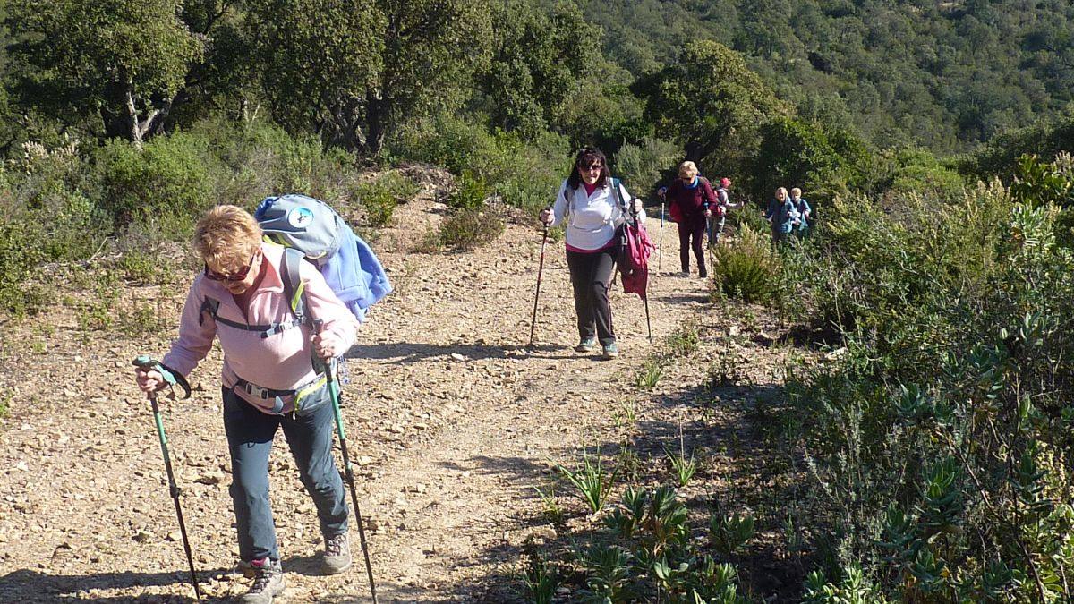 Les Borrels, baisse des Comtes 