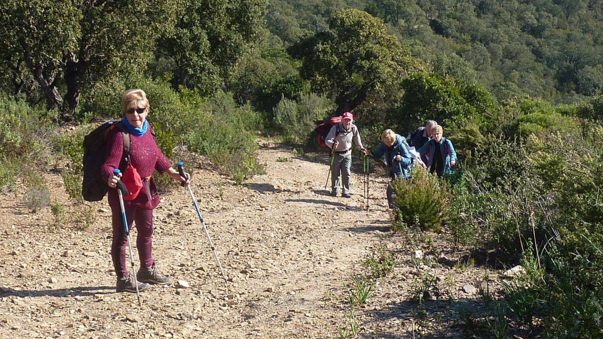 Les Borrels, baisse des Comtes 