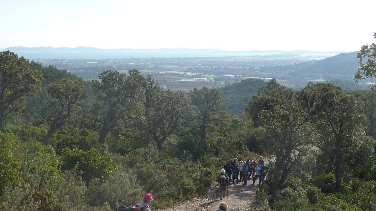 Les Borrels, baisse des Comtes 