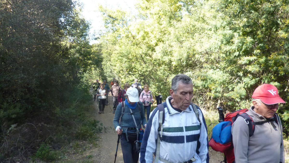 Les Borrels, baisse des Comtes 