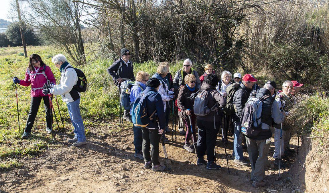 Les Borrels, baisse des Comtes 