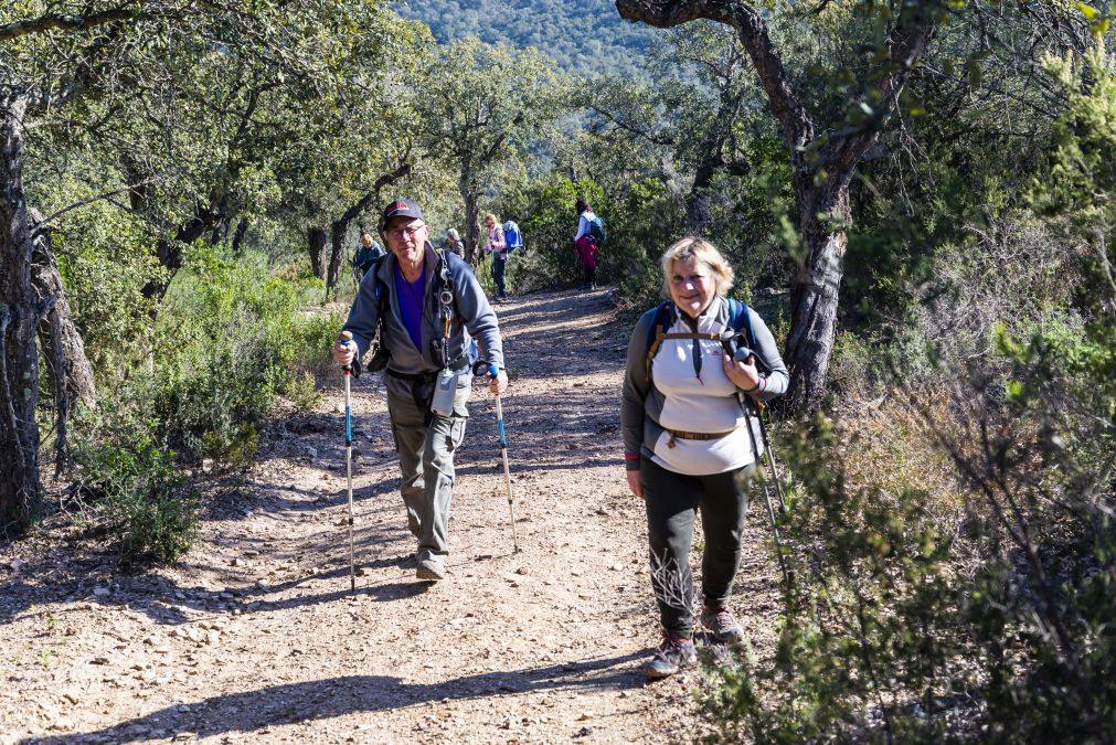 Les Borrels, baisse des Comtes 