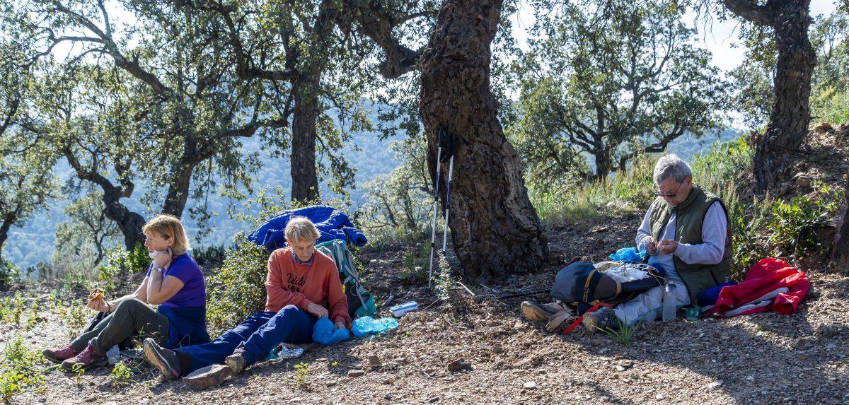 Les Borrels, baisse des Comtes 