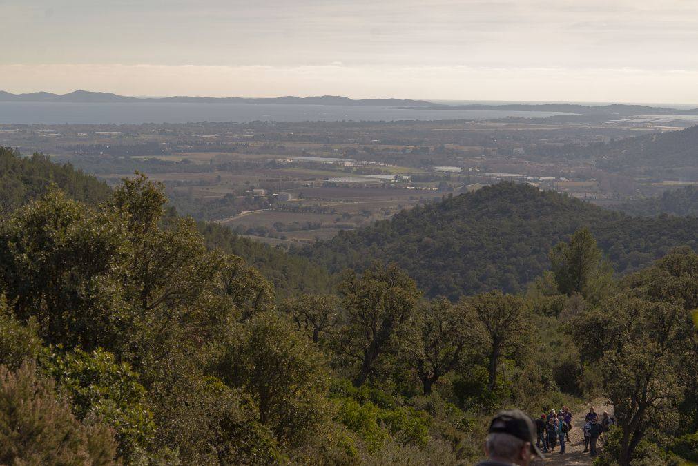 Les Borrels, baisse des Comtes 